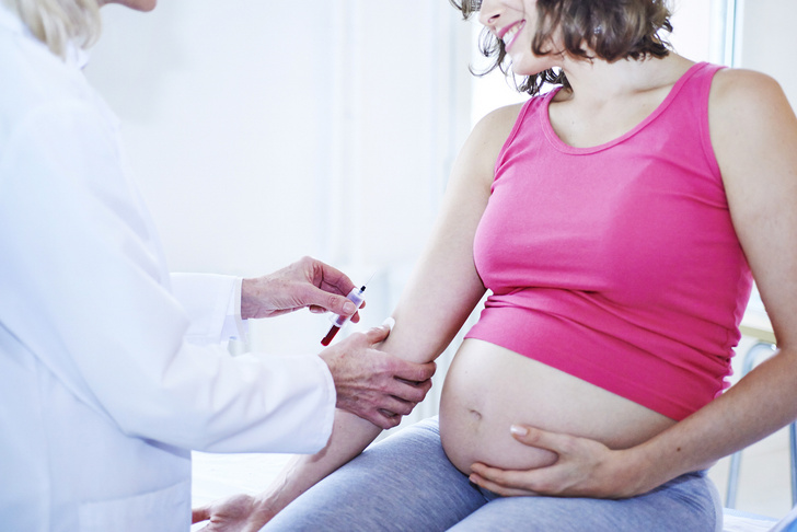 Фото №2 - Токсоплазмоз и беременность