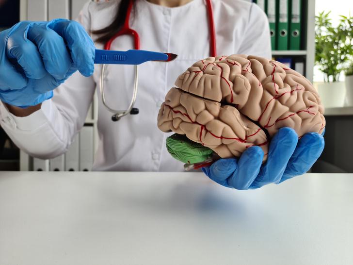 Невролог Мосин назвал два вещества, без которых мозг не проживет и пяти минут