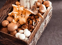 7 самых полезных грибов, которые нужно есть как можно чаще