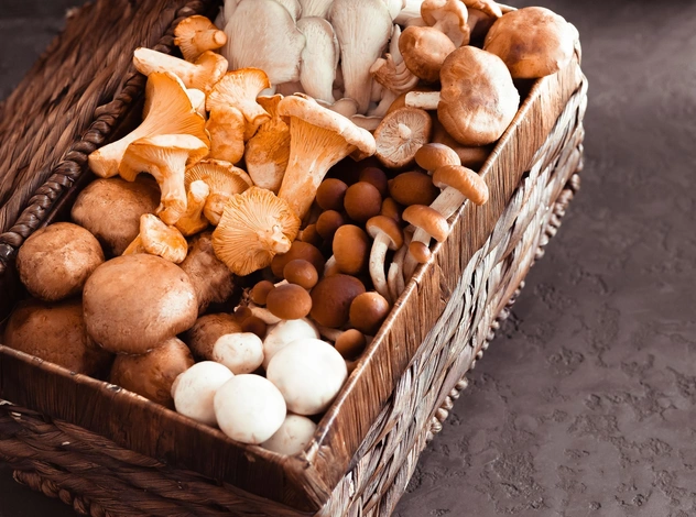 7 самых полезных грибов, которые нужно есть как можно чаще