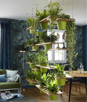 Растения в интерьере: 45+ креативных идей