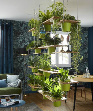 Растения в интерьере: 45+ креативных идей