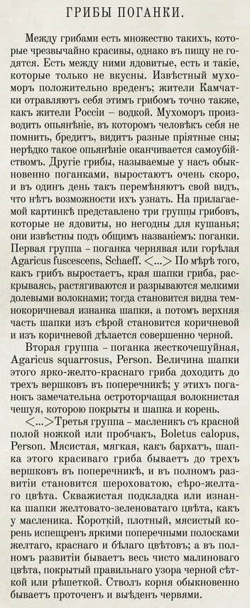 Боги, люди и поганки: как грибы заняли уникальное место не только в биосфере планеты, но и в истории цивилизации