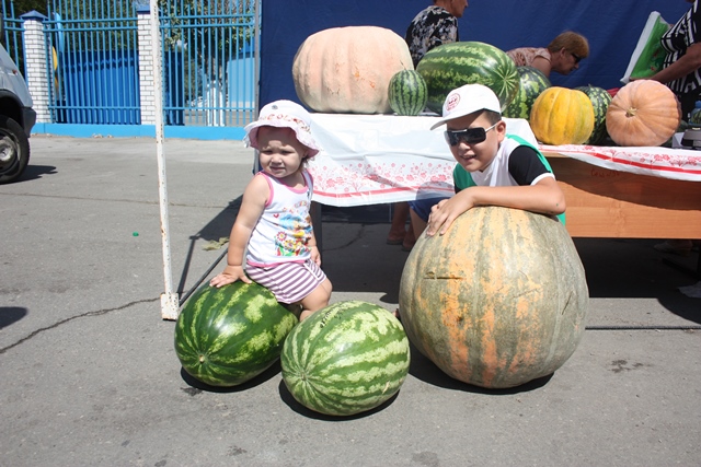 Флаг астрахани фото арбуз