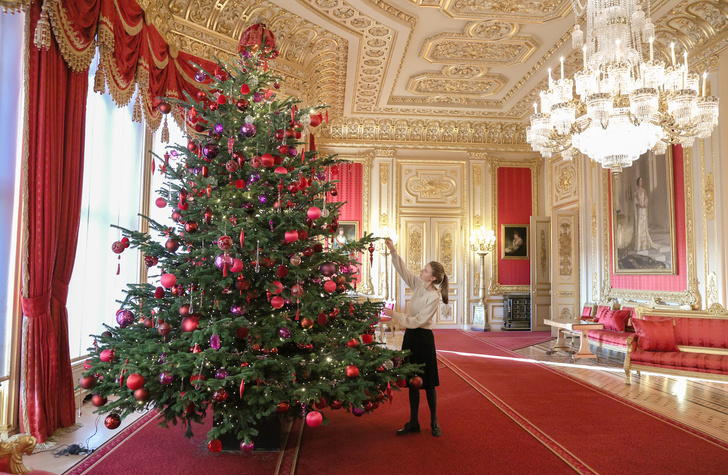 Вы приглашены! Шестиметровые ели и костюмы принцесс ждут счастливых посетителей рождественской выставки в Виндзорском дворце