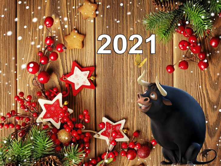 Что новый год нам приготовил? Прогноз на январь для всех знаков зодиака
