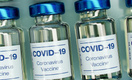 Раздают квартиры и билеты в цирк: как заманивают на вакцинацию от COVID-19 у нас и за границей