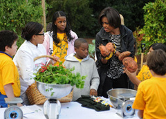 Мишель Обама собрала первый урожай тыквы с огорода Белого дома