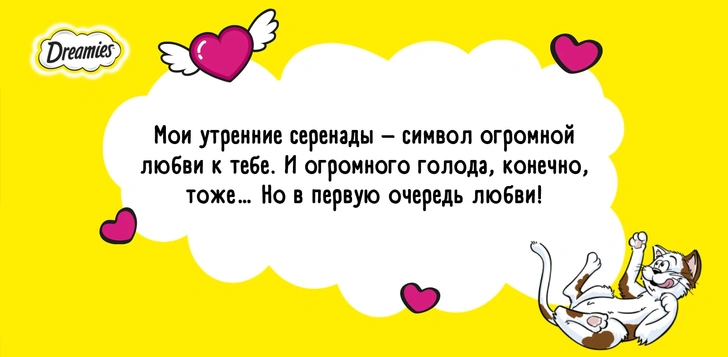 Получи валентинку от котика! Самый замечательный способ отметить День влюбленных