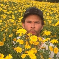 Аватарка Sulli