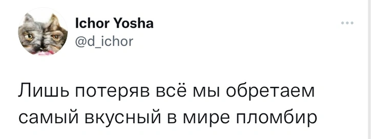 Шутки среды и сексуальные партнерши Винни-Пуха