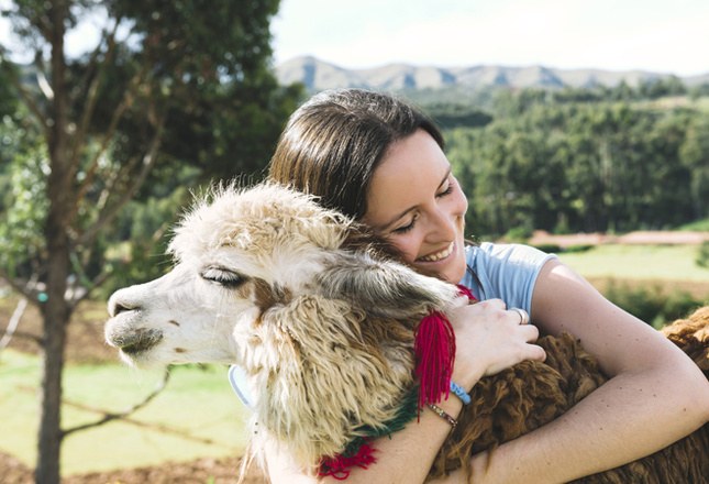 Самые милые животные фото