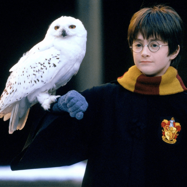 Quiz: Угадай книгу о Гарри Поттере по одной цитате ✨