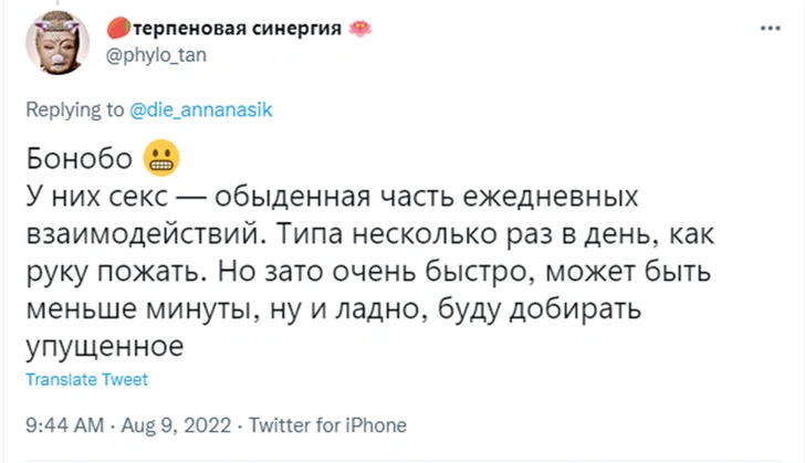 «Хочу быть пандой»: образ жизни каких животных нам кажется привлекательным