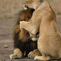 Аватарка Жужу