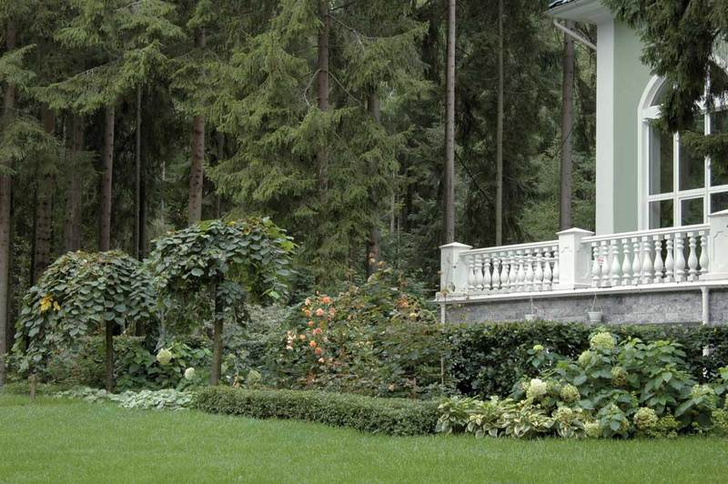 Сад в русском стиле
