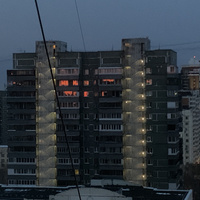 Аватарка Липучка для мух