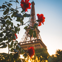 Аватарка lovely_megan