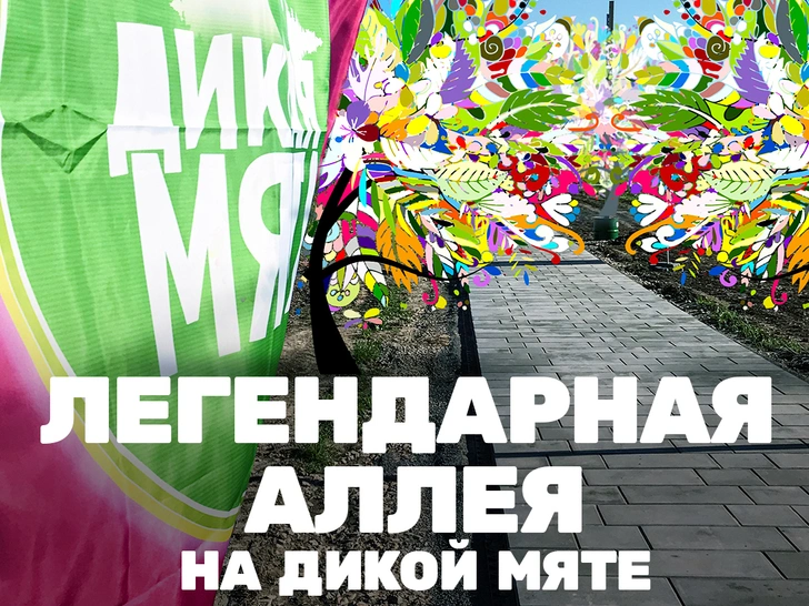 Легендарная аллея: что нужно знать о новой локации фестиваля «Дикая Мята»