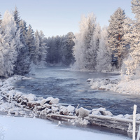 Аватарка Арина