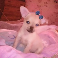 Аватарка Ulia1987