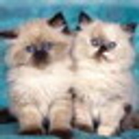 Аватарка Лапуля