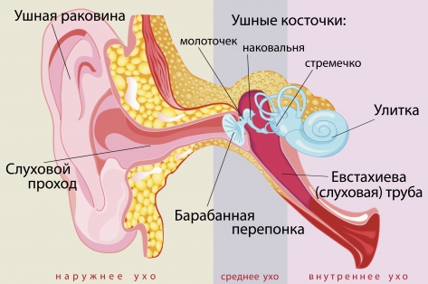 Отит и боль в ухе у ребенка