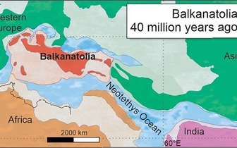 40 млн лет назад из Азии в Европу добирались с «пересадкой» в Балканатолии