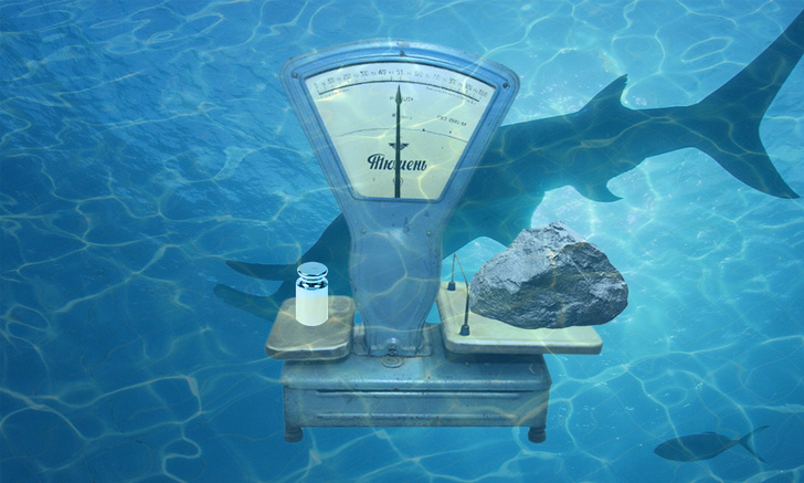 Логическая головоломка недели: весы под водой