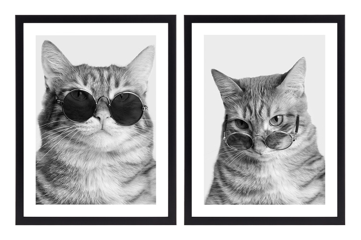 Набор постеров " Котики в очках»