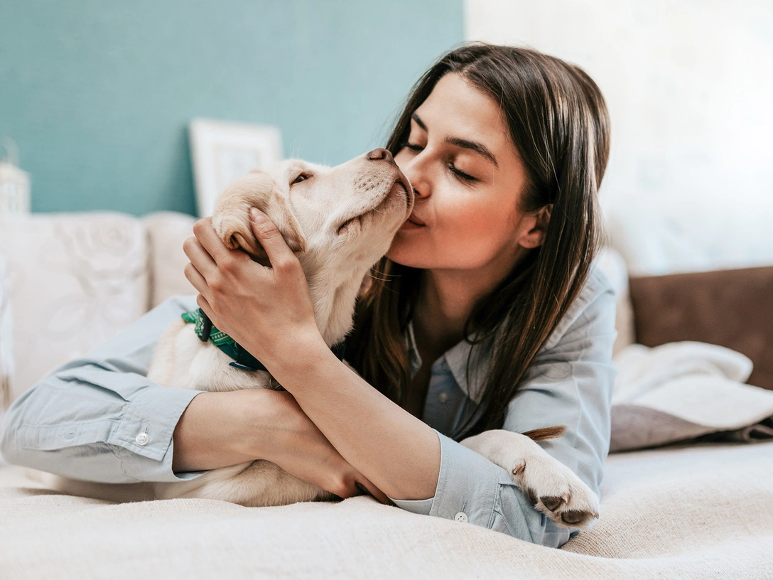 4 вопроса, которые надо задать себе перед тем, как завести питомца | marieclaire.ru