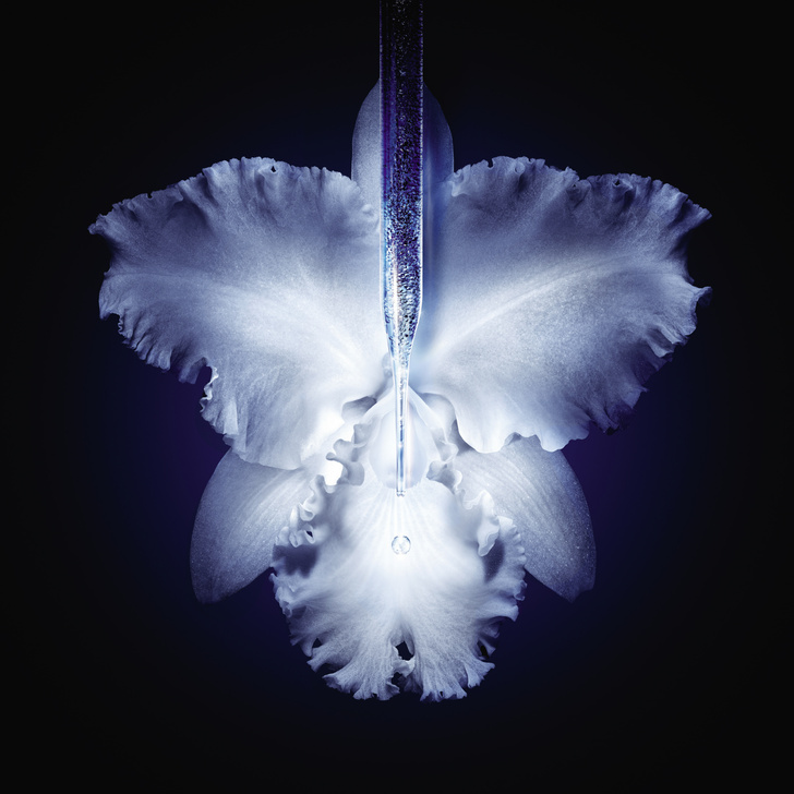 Белая орхидея: лифтинг-сыворотка для лица с 7 000 микрочастицами