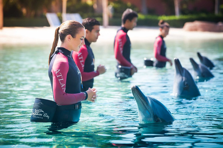 Дубай в сердце моем: как я съездила в Atlantis, The Palm и влюбилась