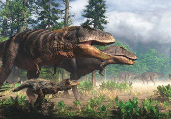 Ученые открыли императора и королеву тираннозавров