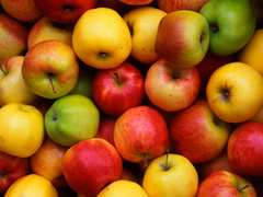 Экспресс-детокс: разгрузочный день на яблоках