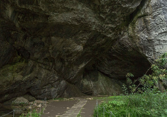 В какой российской пещере обнаружена палеолитическая живопись?