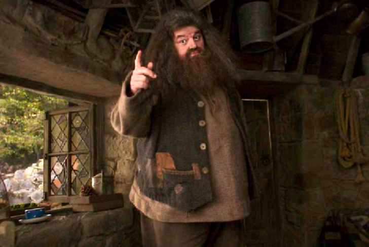 Типы личности по Майерсу-Бриггсу: кто ты из «Гарри Поттера»