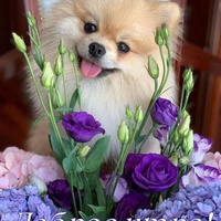 Аватарка Екатерина