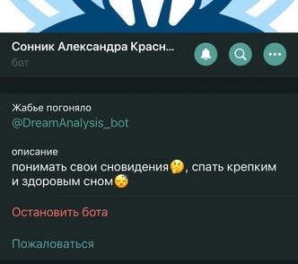 Самые прикольные и полезные боты в Telegram