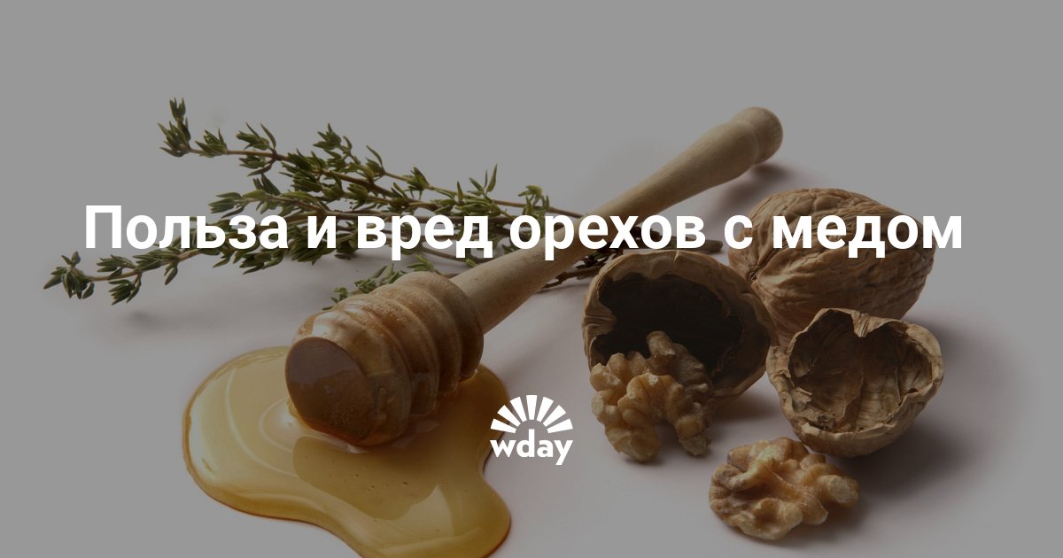Орехи с медом польза для мужчин