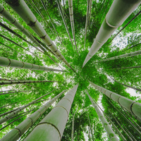 Аватарка KristiRF