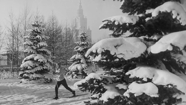 Планы на каникулы: уличная фотовыставка галереи Люмьер