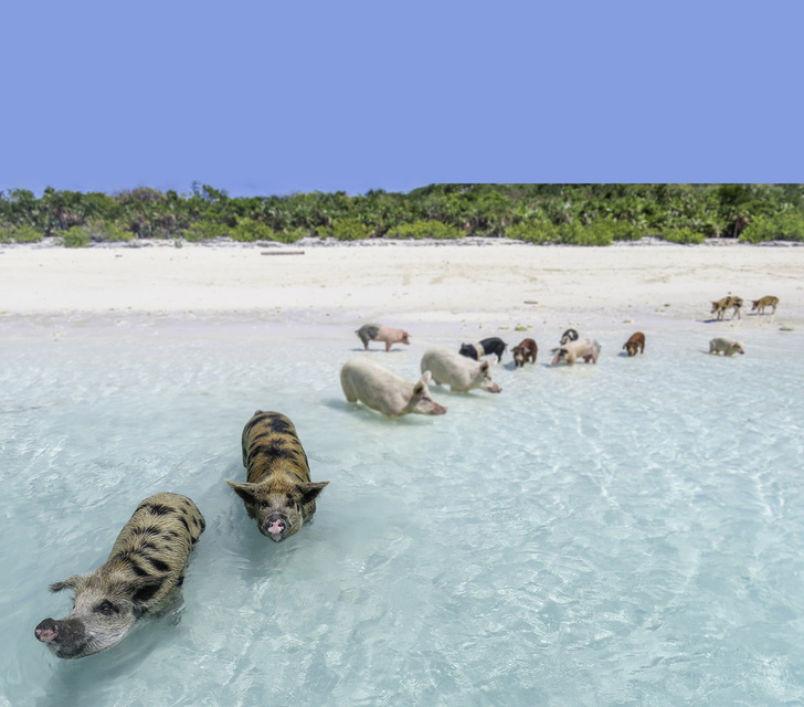 Порция суши: 10 удивительных островов