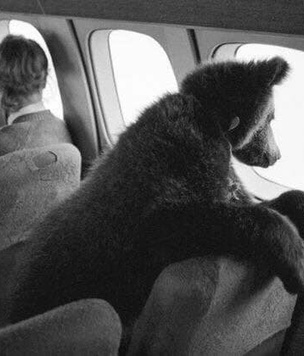 10 фотографий из СССР, которые стали вирусными на зарубежных сайтах