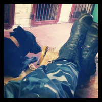 Аватарка Рысь