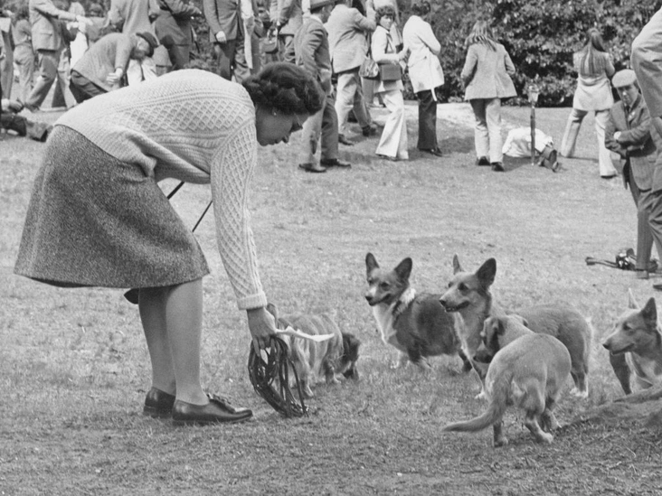 Елизавета II со своими корги в графстве Суррей, 12 мая 1973