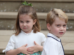Принц Джордж и принцесса Шарлотта переведены на домашнее обучение