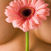 Аватарка Цветочек