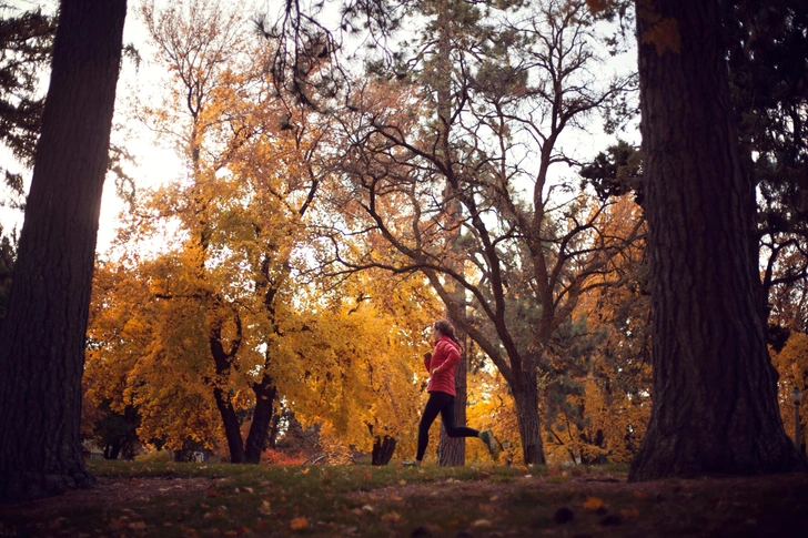 Как заниматься спортом зимой: 5 советов от тренера по бегу