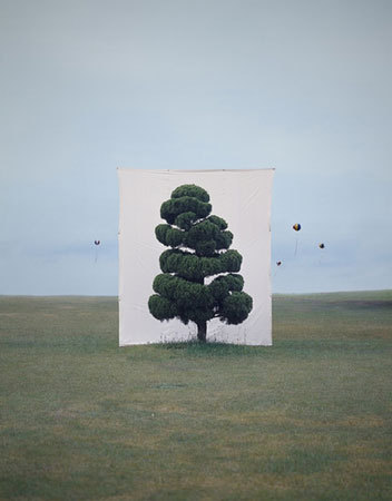 Фото №1 - Myoung Ho Lee's Trees